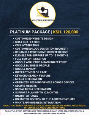 Website Platinum Package